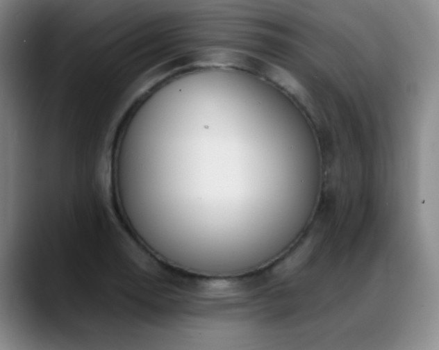 X0000089391130200706151217
