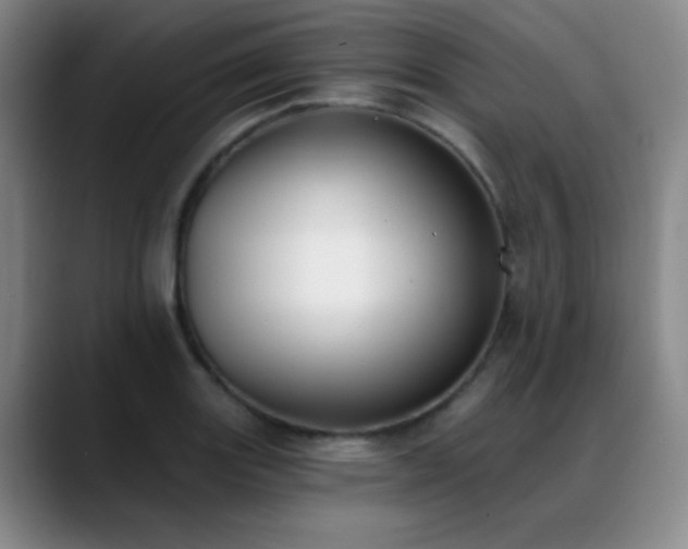 X0000089391131200706151217