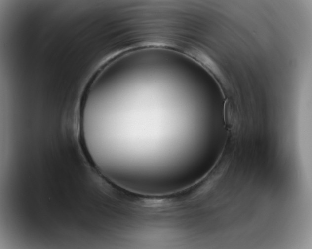 X0000089391132200706151217