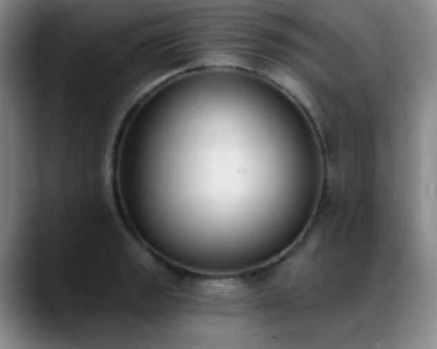 X0000089391133200706151217