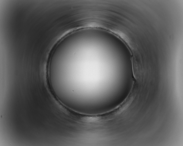 X0000089391134200706151217