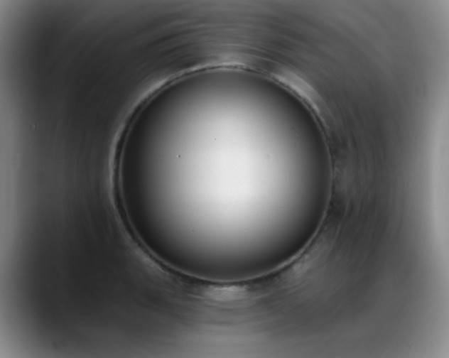 X0000089391135200706151217