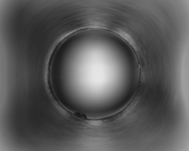 X0000089391136200706151217