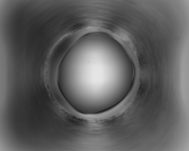 X0000089391138200706151217