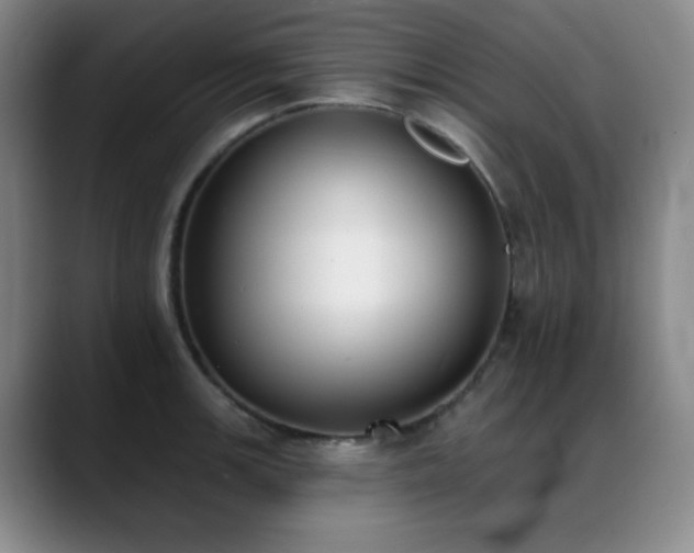 X0000089391139200706151217