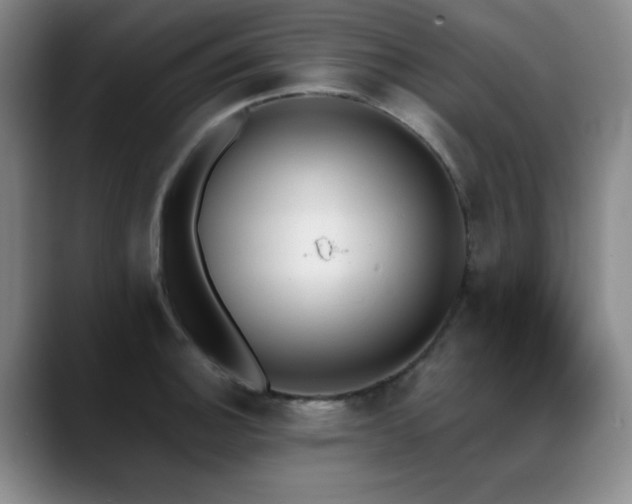 X0000089391140200706151217