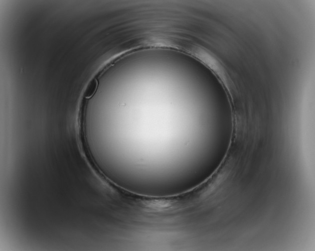 X0000089391141200706151217