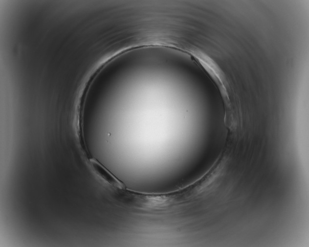 X0000089391144200706151217