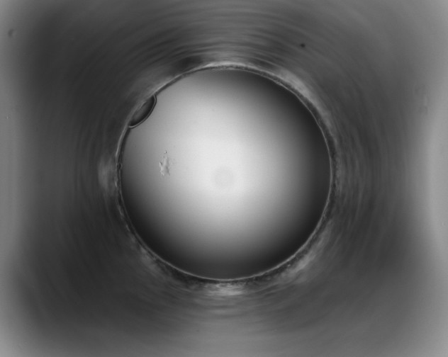 X0000089391145200706151217