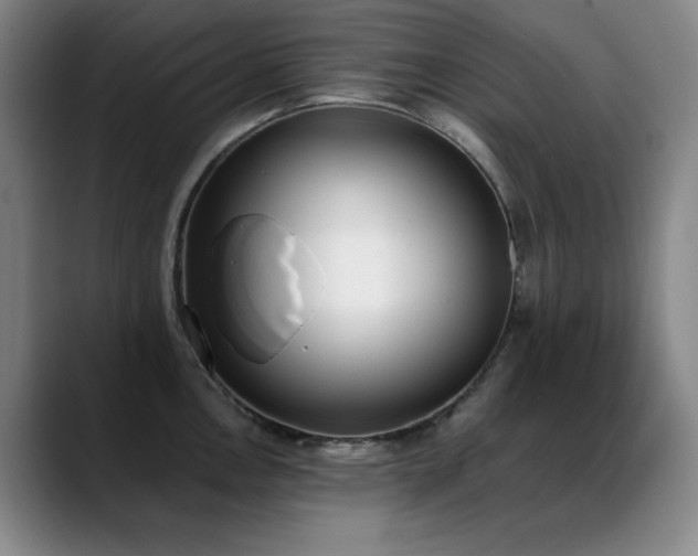 X0000089391146200706151217