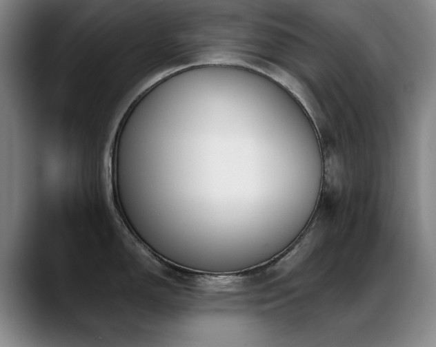 X0000089391150200706151217