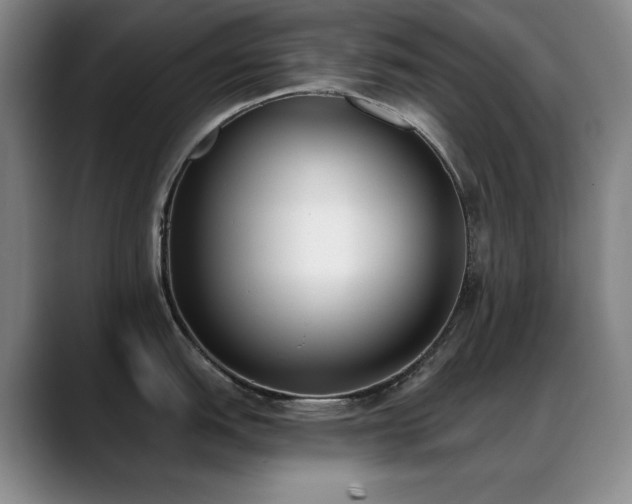 X0000089391151200706151217