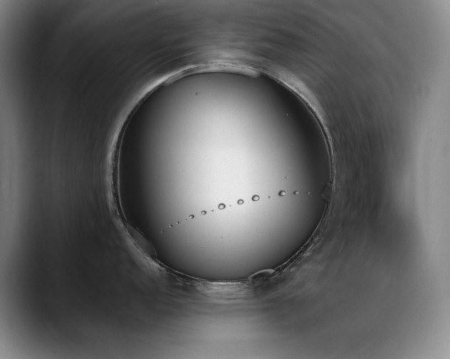 X0000089391152200706151217