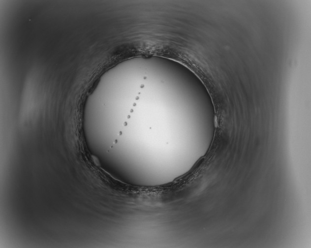 X0000089391153200706151217