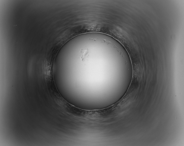 X0000089391154200706151217