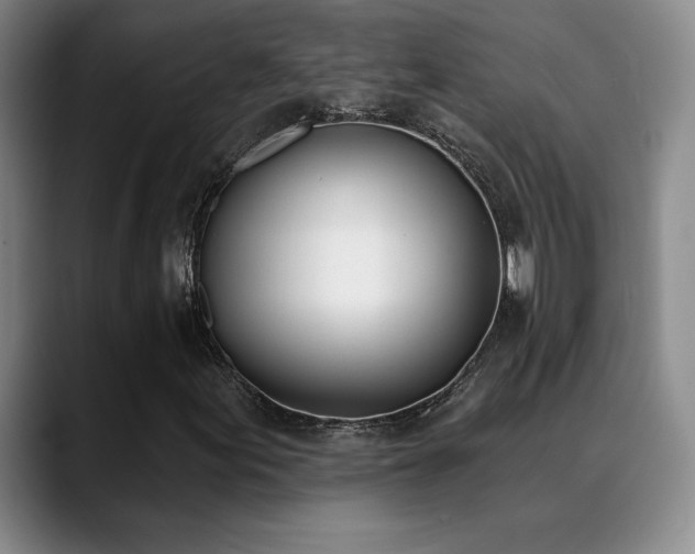 X0000089391155200706151217