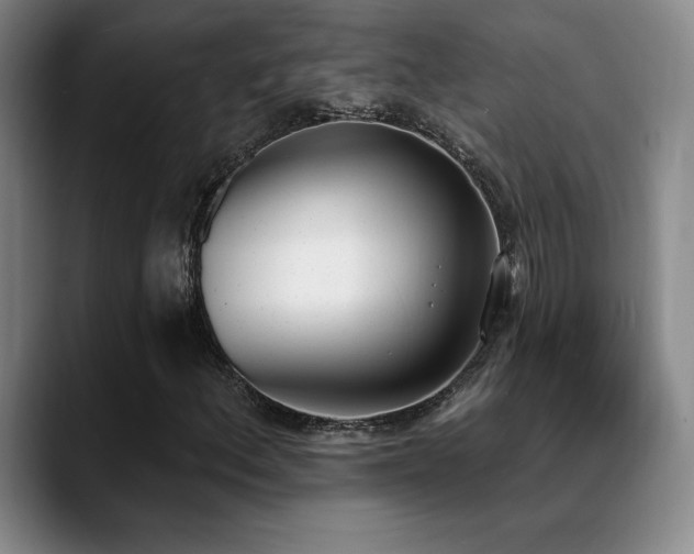 X0000089391156200706151217