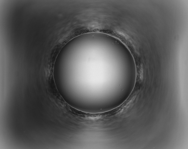 X0000089391157200706151217