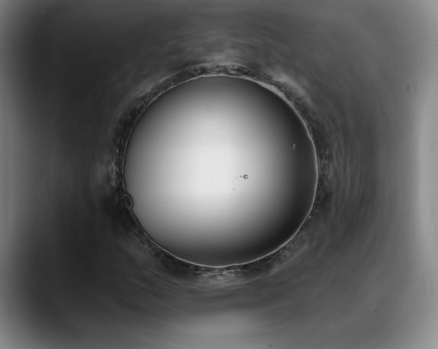 X0000089391159200706151217