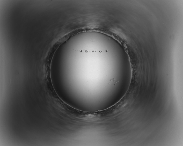 X0000089391160200706151217