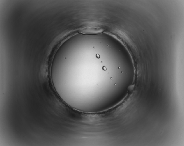 X0000089391164200706151217