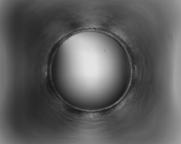 X0000089391165200706151217