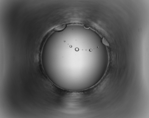 X0000089391166200706151217