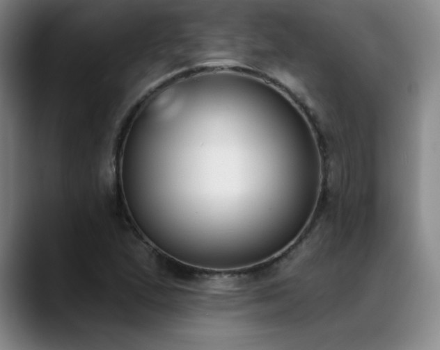 X0000089391167200706151217