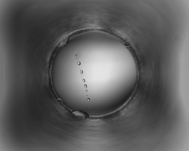 X0000089391168200706151217