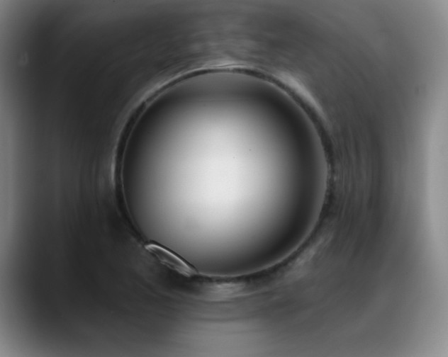 X0000089391173200706151217