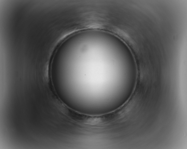 X0000089391174200706151217