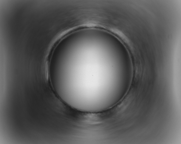 X0000089391175200706151217