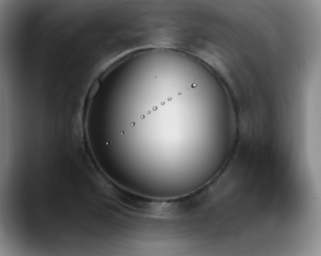 X0000089391176200706151217