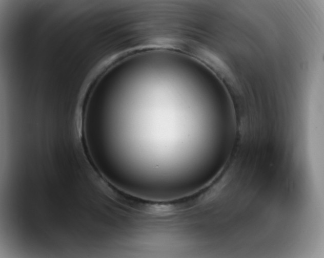 X0000089391180200706151217