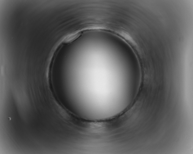 X0000089391181200706151217