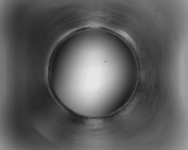 X0000089391183200706151217