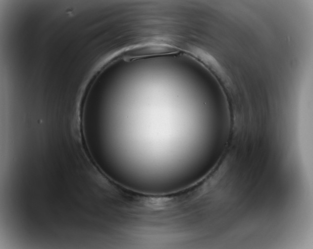X0000089391184200706151217
