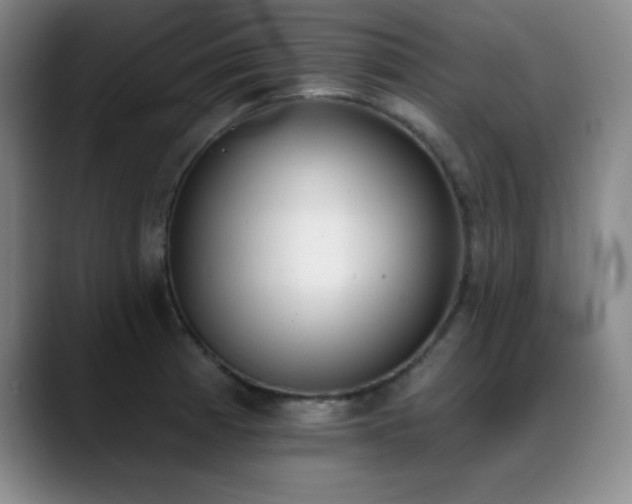 X0000089391185200706151217