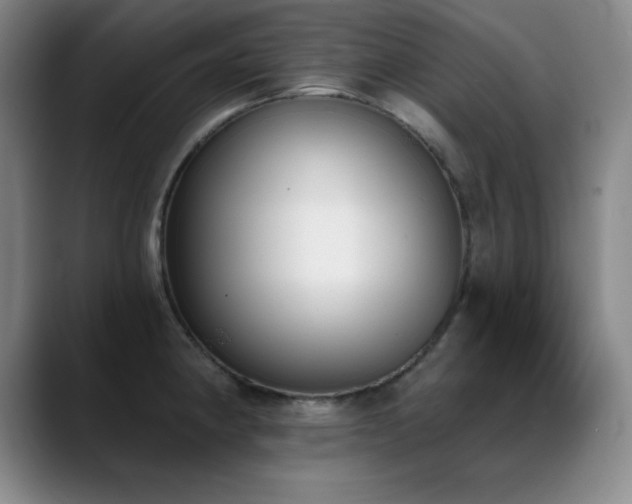 X0000089391190200706151217