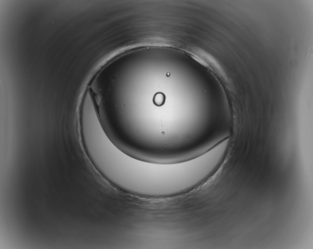 X0000089391192200706151216