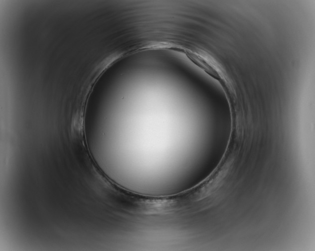 X0000089391193200706151216