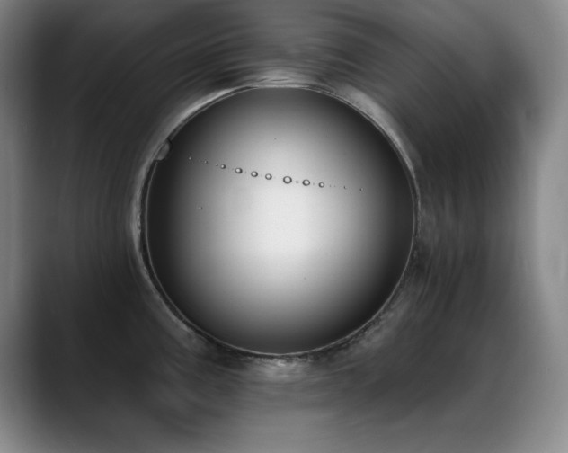 X0000089391195200706151216