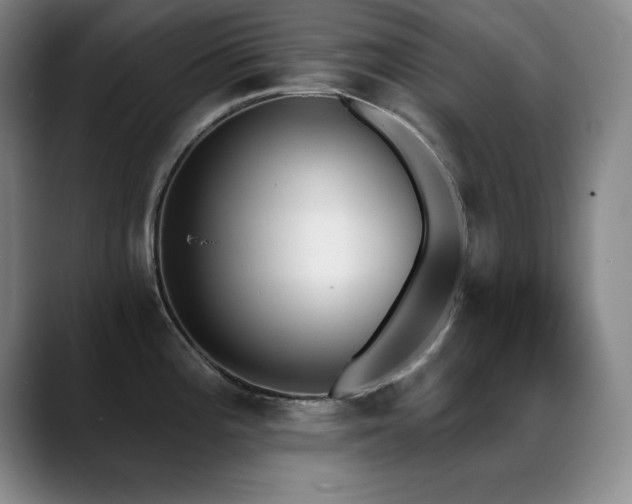 X0000089391196200706151216