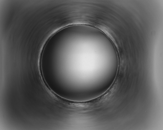X0000089391197200706151216