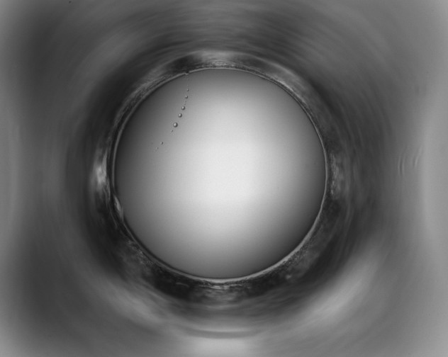 X0000089391198200706151216