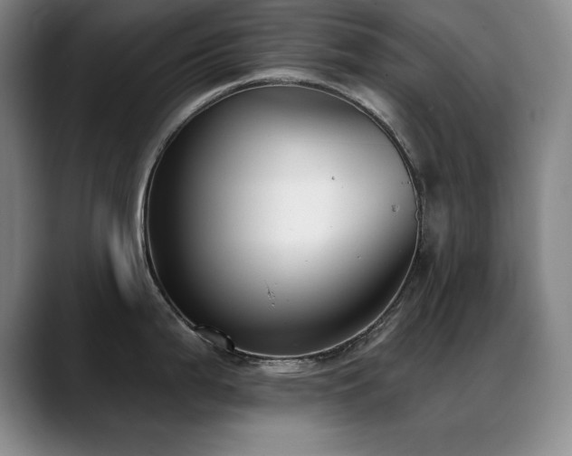 X0000089391199200706151216