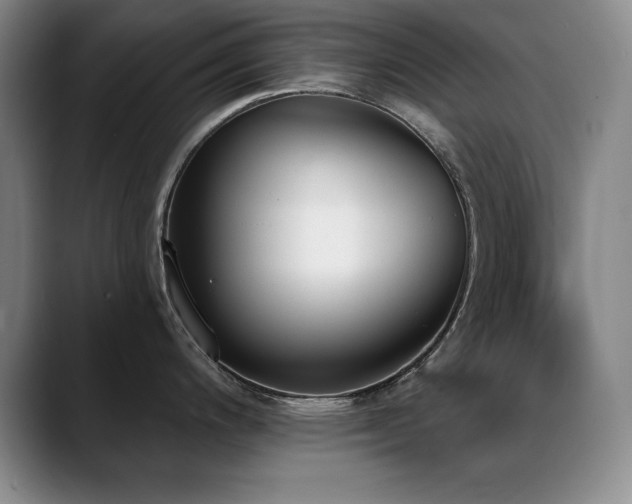 X0000089391200200706151216