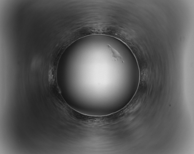 X0000089391202200706151216