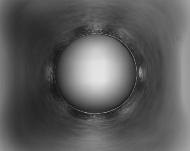 X0000089391203200706151216