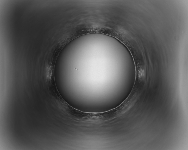 X0000089391204200706151216